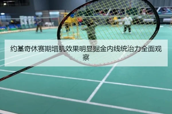 约基奇休赛期增肌效果明显掘金内线统治力全面观察